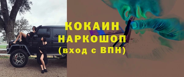 дмт Арсеньев