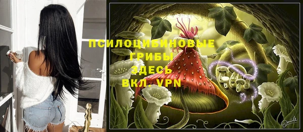 прущая мука Белая Холуница