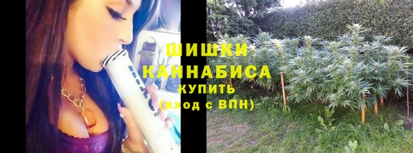 ПСИЛОЦИБИНОВЫЕ ГРИБЫ Аркадак