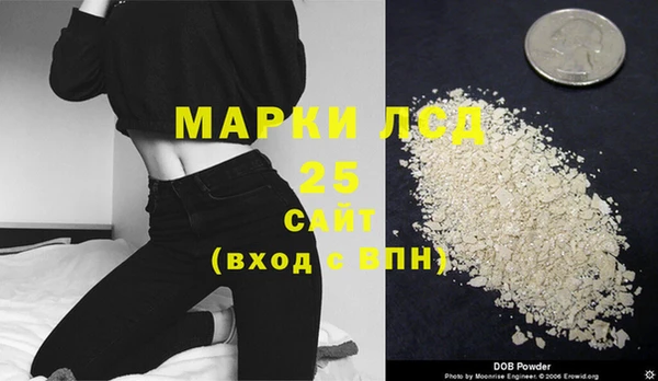 ПСИЛОЦИБИНОВЫЕ ГРИБЫ Аркадак