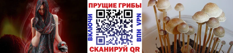 Галлюциногенные грибы ЛСД Нурлат