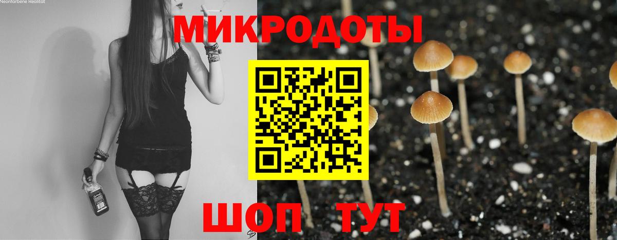 наркошоп  Вход с VPN  Нурлат  Галлюциногенные грибы Psilocybe 