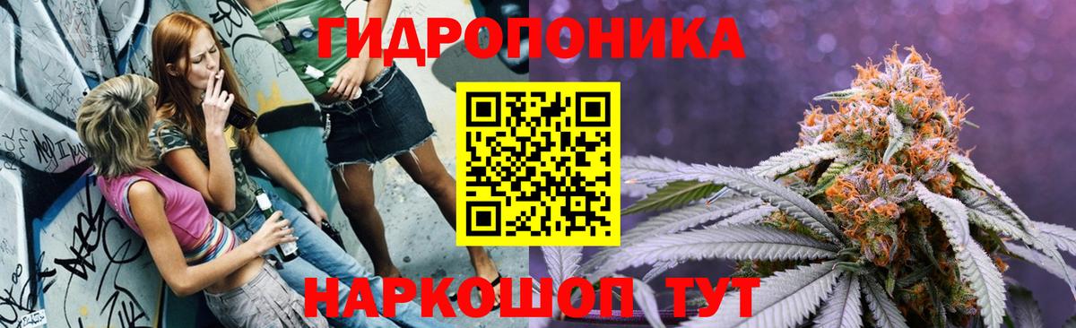 Каннабис конопля Нурлат